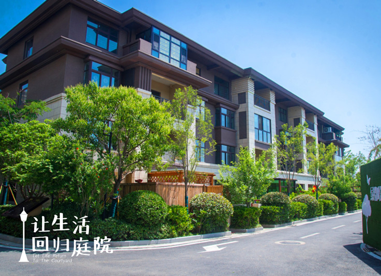 前后张望南阳50年：这样的天井，很难再有了！