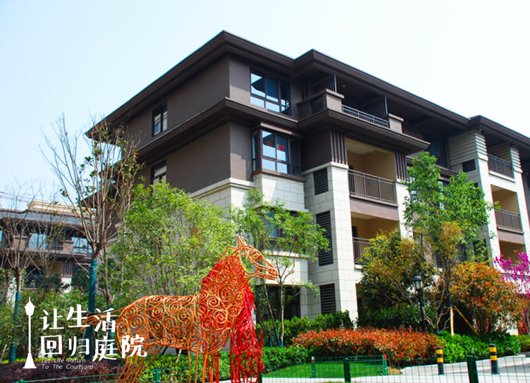 前后张望南阳50年：这样的天井，很难再有了！