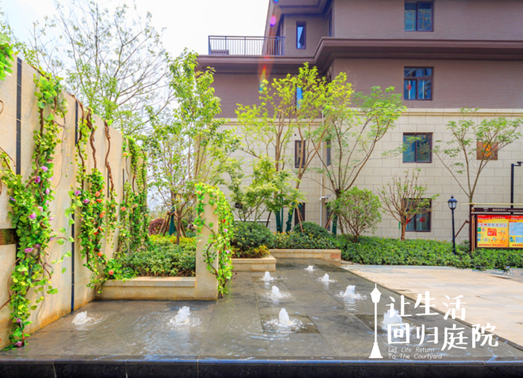前后张望南阳50年：这样的天井，很难再有了！