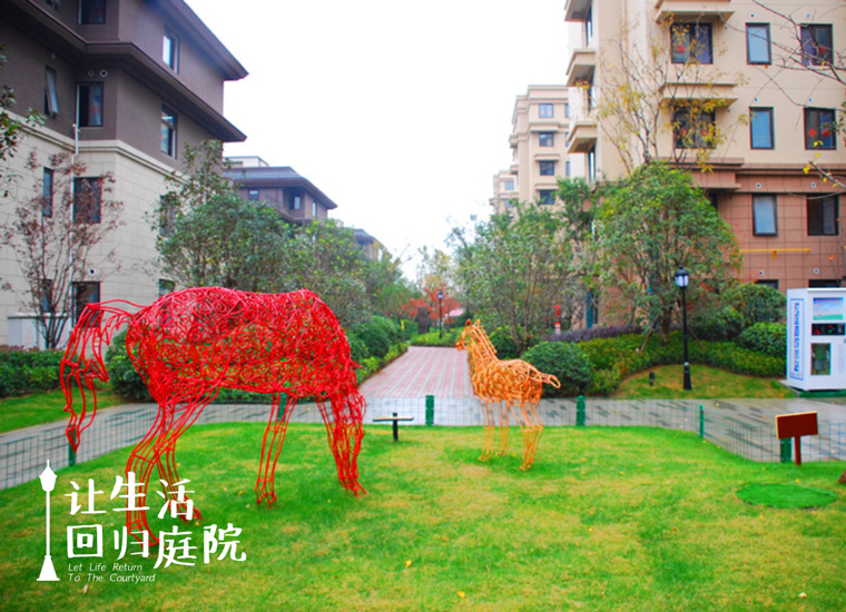 前后张望南阳50年：这样的天井，很难再有了！