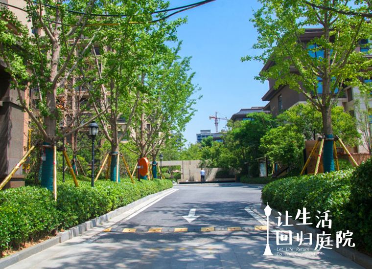 前后张望南阳50年：这样的天井，很难再有了！