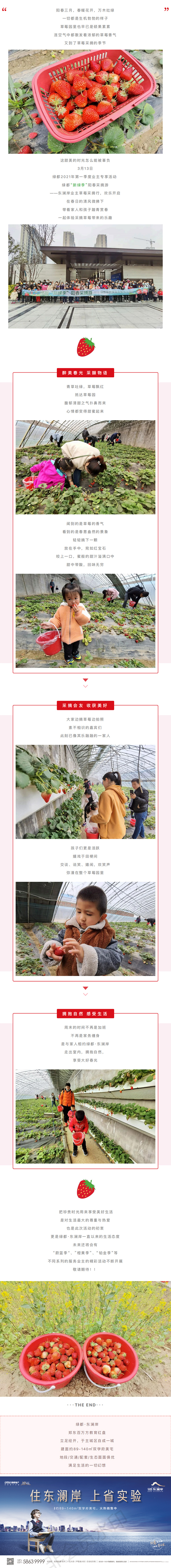 草莓采摘行|“莓”好同业，不负春日好时光