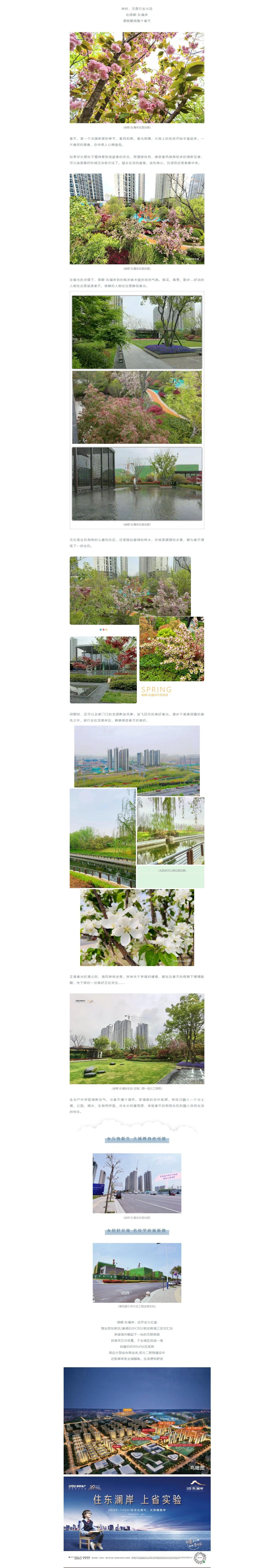 赏花踏青，来一场和春天的约会
